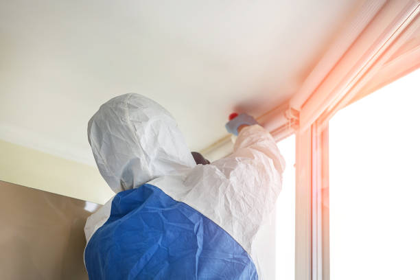 Mold Remediation for Rental Properties in Port Oconnor, TX